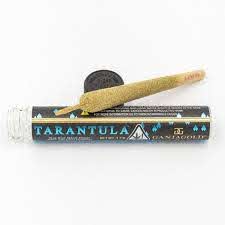 Ganja Gold - Blue Tarantula Zkittlez 1.2g