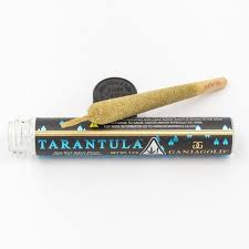 Ganja Gold - Blue Tarantula Tropicanna Punch 1.2g