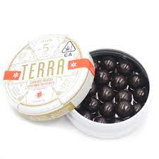 Terra - Peppermint Dark Chocolate Bites 100mg