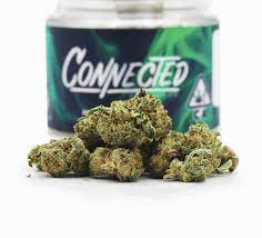 Connected - Gelato 41 7g