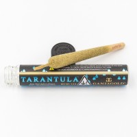 Ganja Gold - Blue Tarantula Wedding Cake Crasher 1.2g