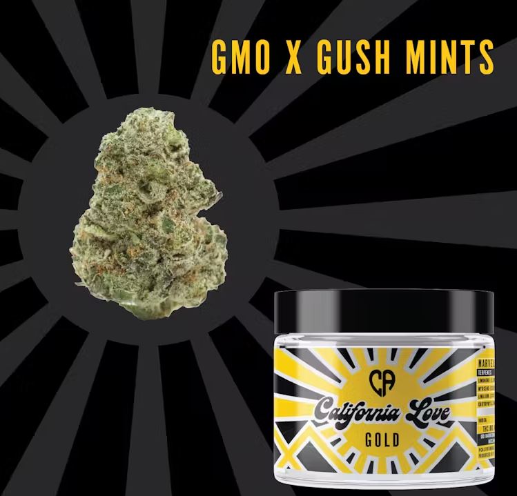 3.5g Gold | GMO X Gush Mints